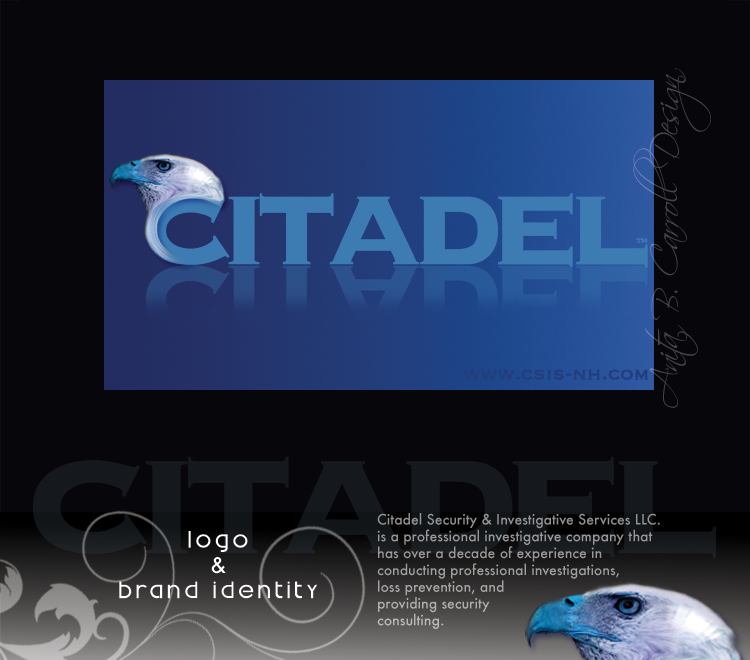 Web design, UX UI, Photography, Digital Image manipulation, Citadel, Security, Anita B. Carroll, Race-Point.com