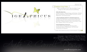 website design portfolio