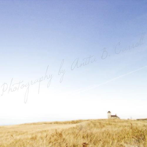 Photography by Anita B. Carroll