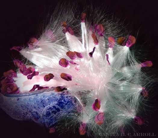 Digital Image Manipulation