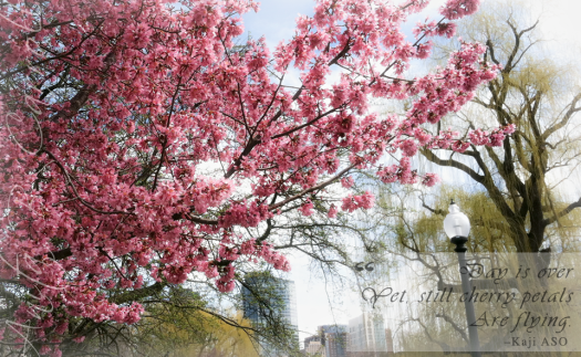 Photo: Anita B. Carroll 2013