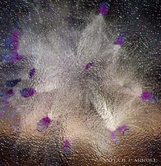 Digital Image Manipulation by Anita B. Carroll