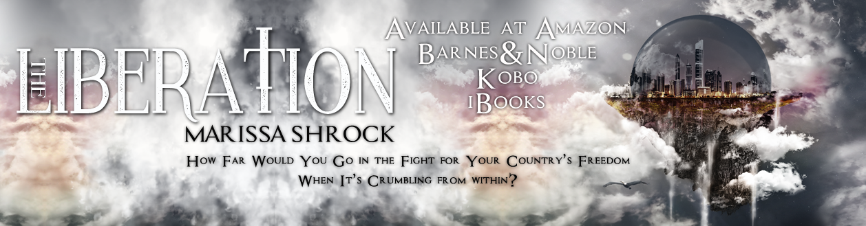 Twitter Banner Design by Anita B. Carroll