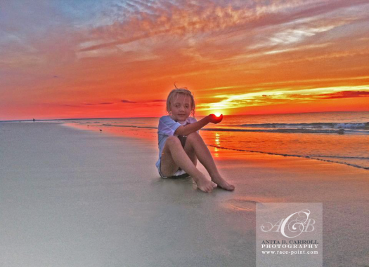 Midsummer Nights - Cape Cod Sunset