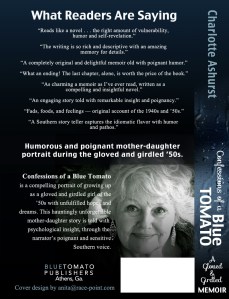 Book Cover Design by anita@race-point.com